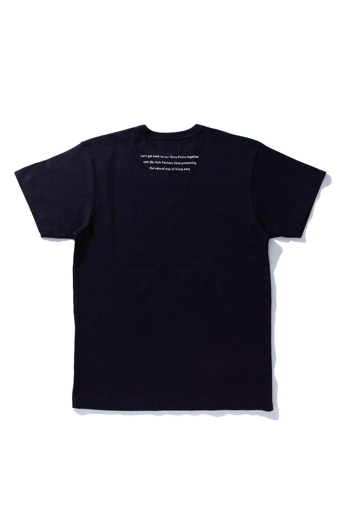 Terra Firma Black T-shirt – Bluesville